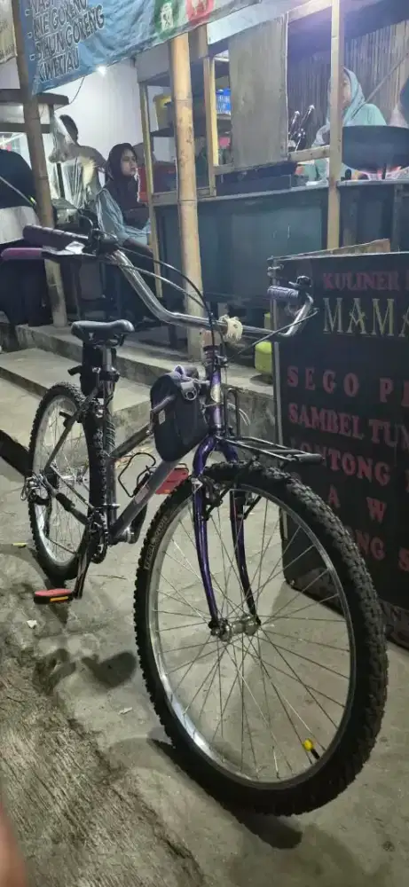 Lady mtb 26 vintage