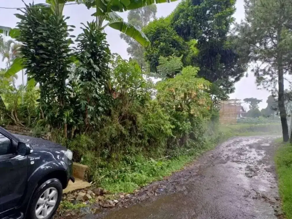 Dijual cepat tanah Lokasi jln Barunagri Desa Sukajaya Kecamatan Lembang Kabupaten Bandung Barat