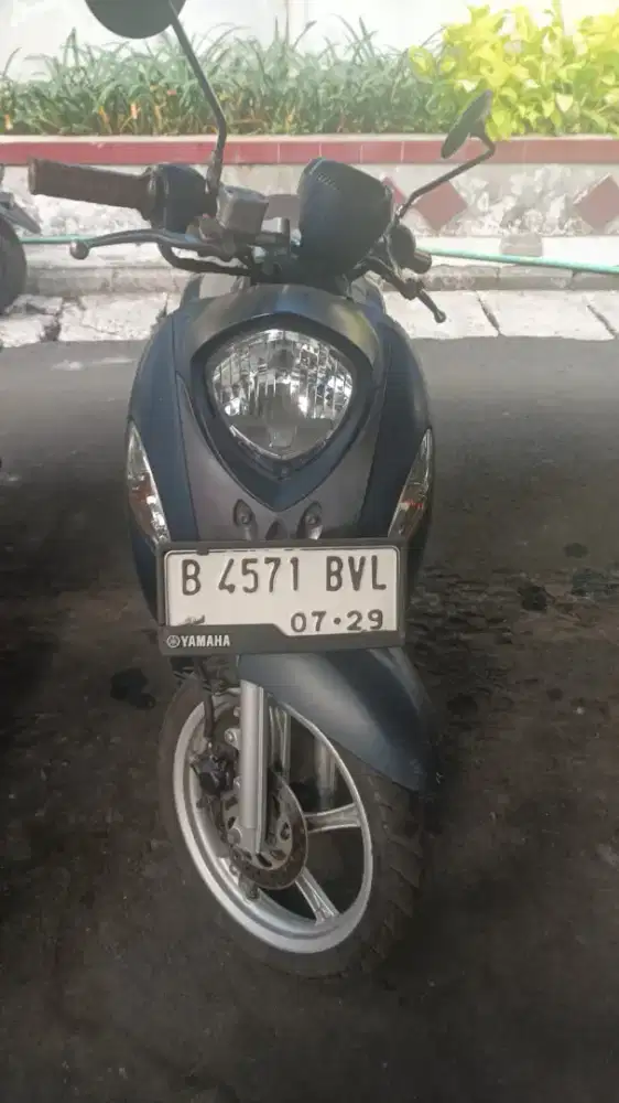 Jual Fino Grande 2019