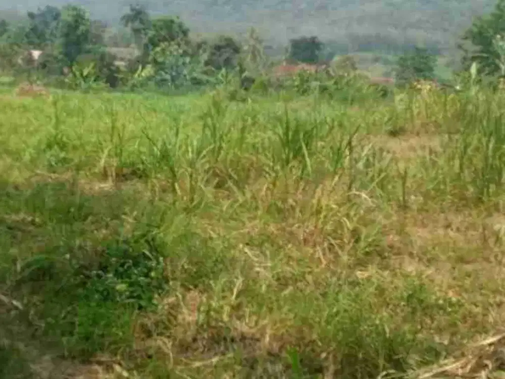 di jual tanah darat di bogor barat rumpin