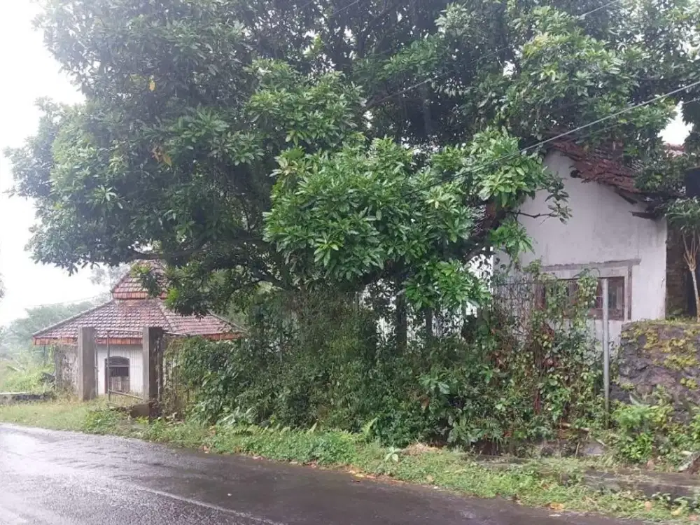 Dijual Via Lelang Murah Tanah 4Ha di Jalan Raya Jolotundo Trawas