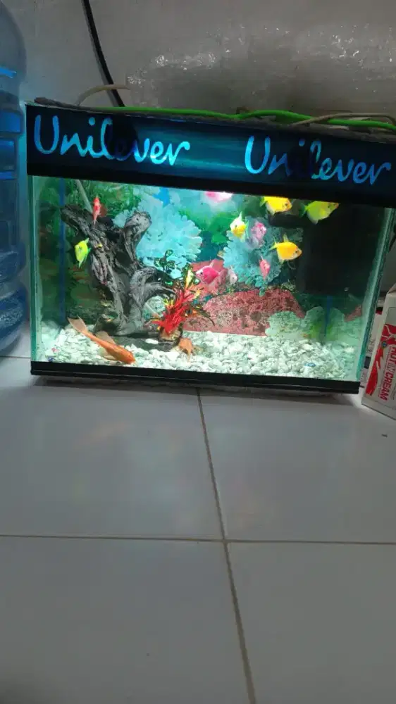 Aquarium ikan second