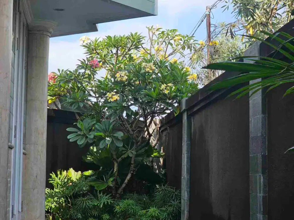 Modern Luxury Villa di Area Tegal Cupek Kuta