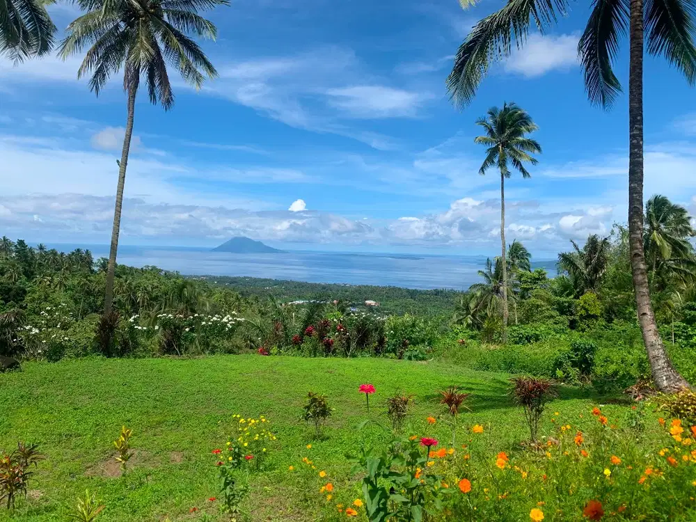Tanah 2,2 Ha Warembungan Pineleng View Laut – SHM/AJB