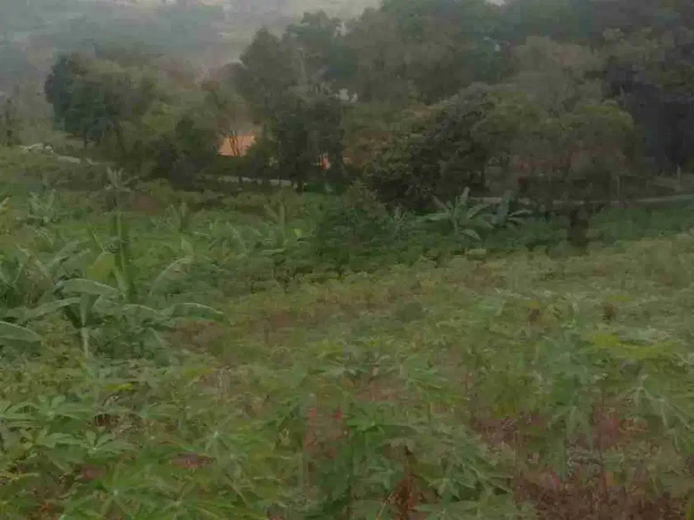 di jual tanah darat