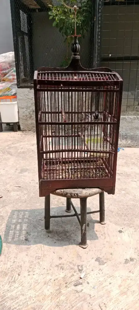 Sangkar / kandang burung kayu tanggung