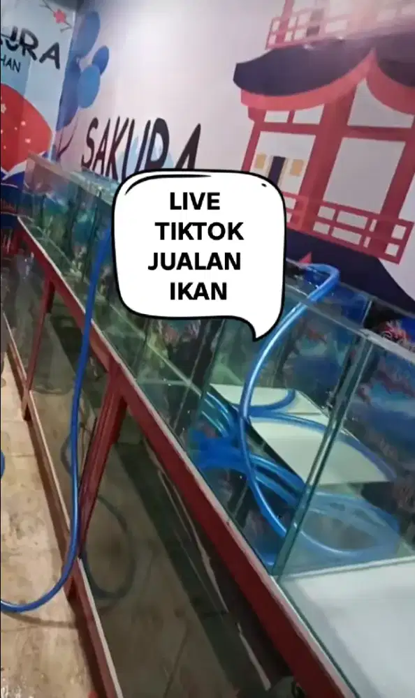 Cari karyawan untuk live tiktok
