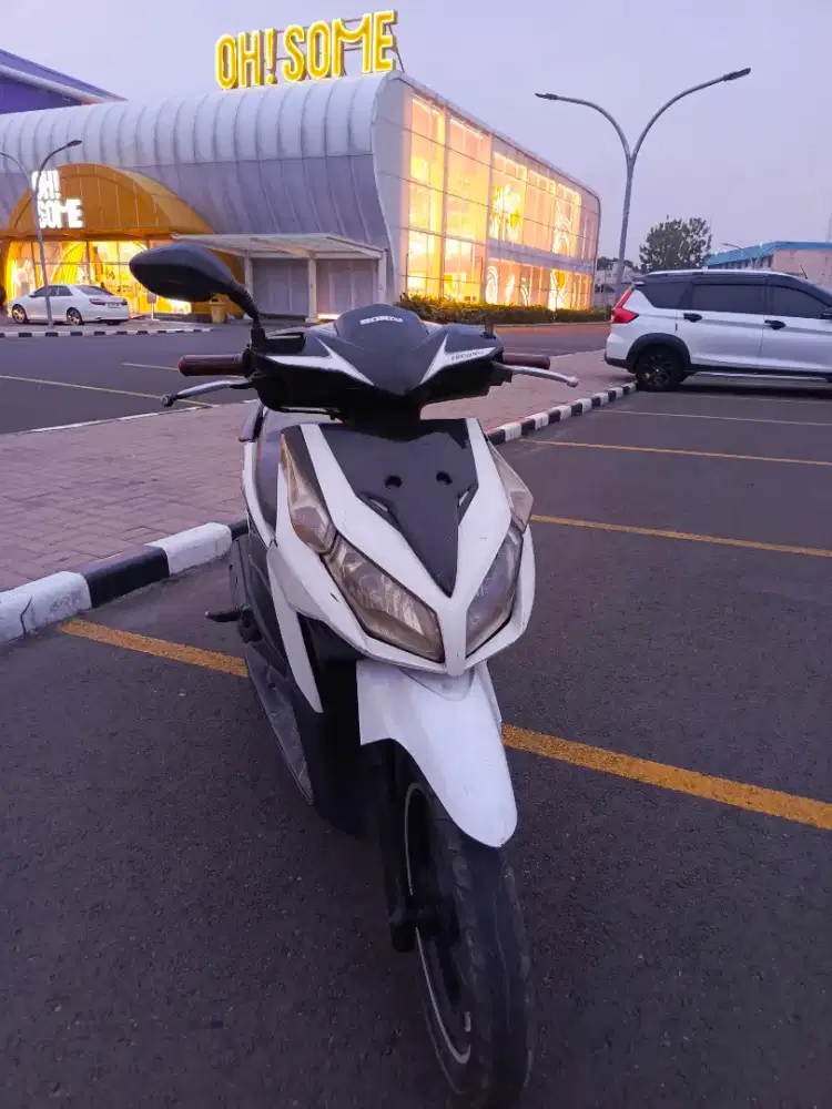 Vario techno 2011