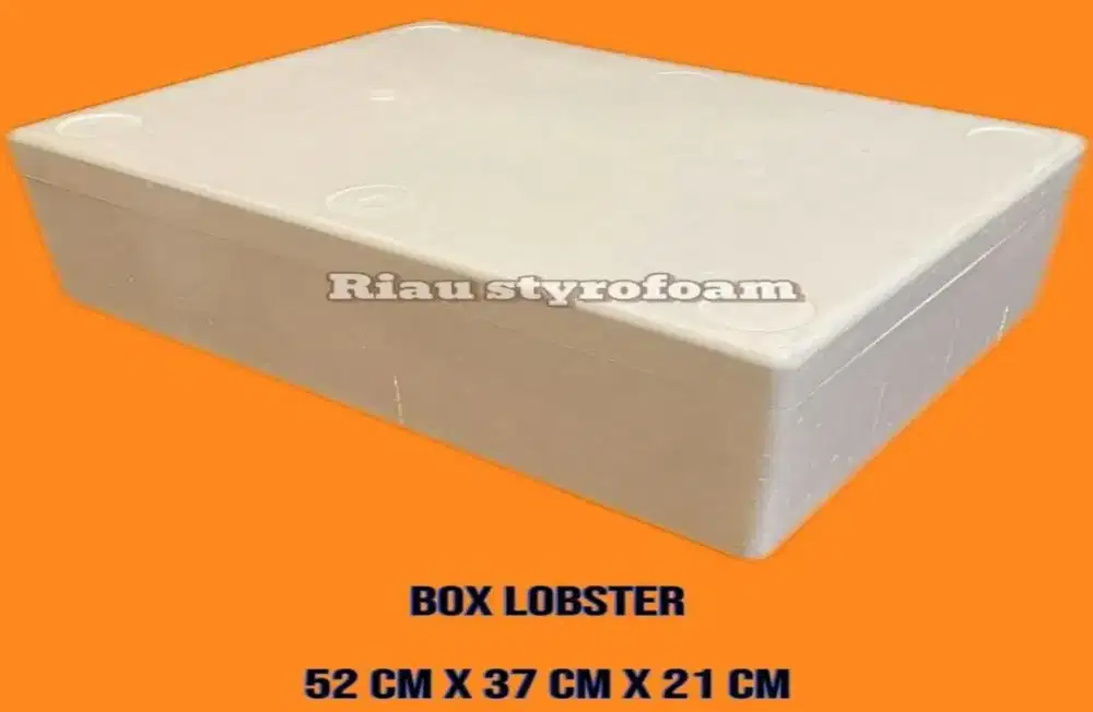 Box Lobster Styrofoam