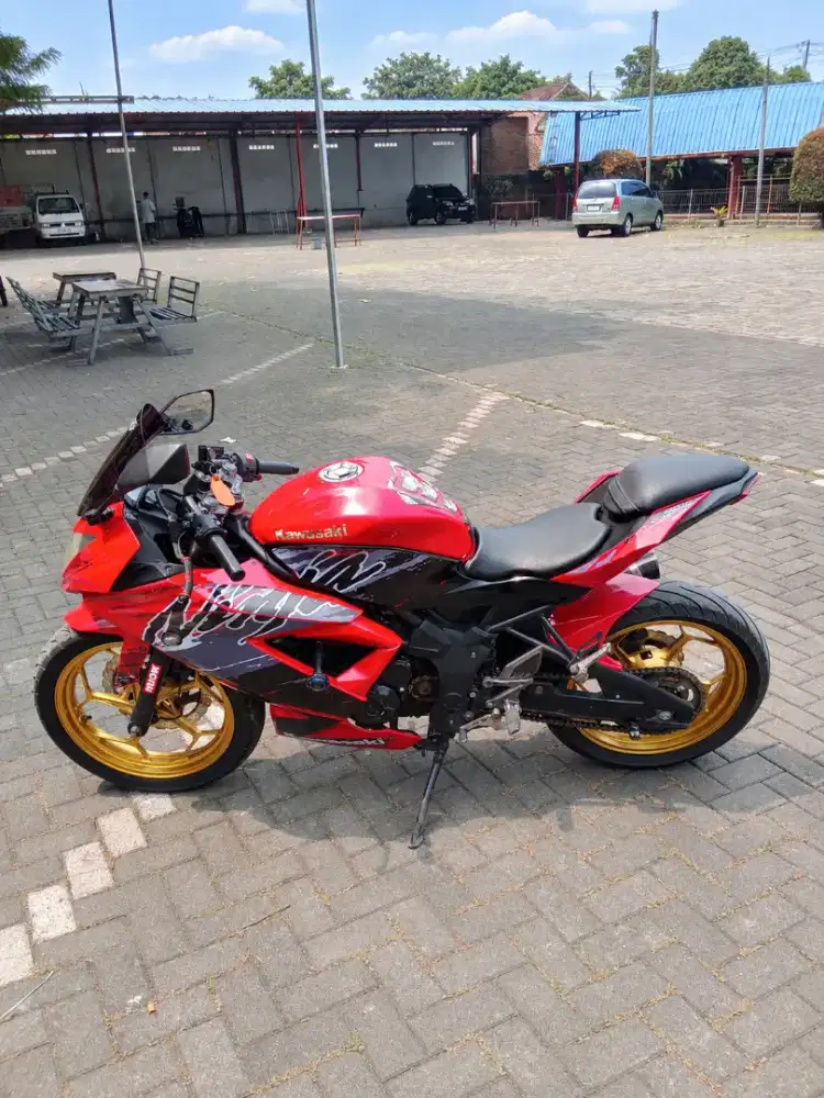 Kawasaki Ninja RR 250 Ninja Mono