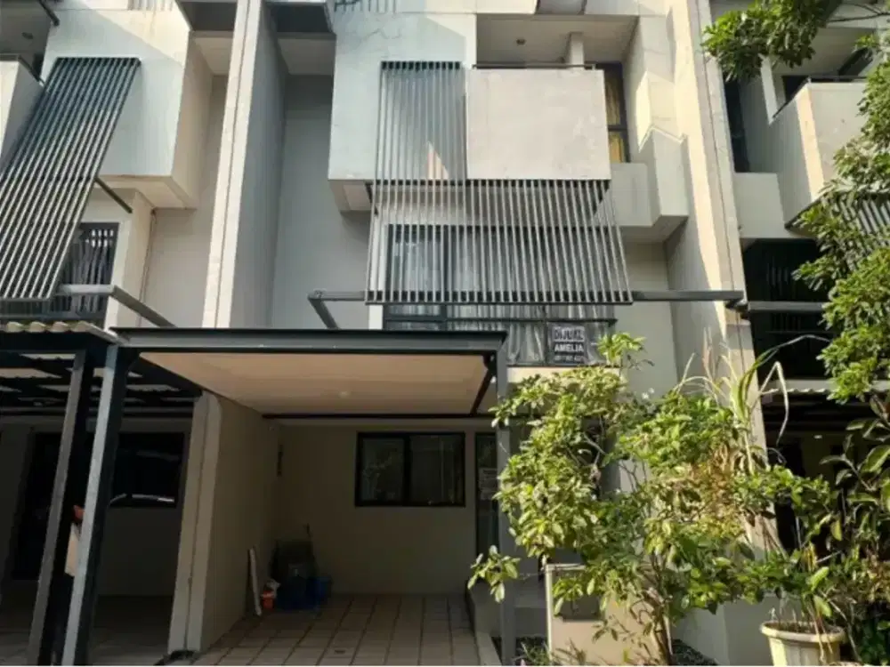 DIJUAL CEPAT Tabebuya Impresahaus