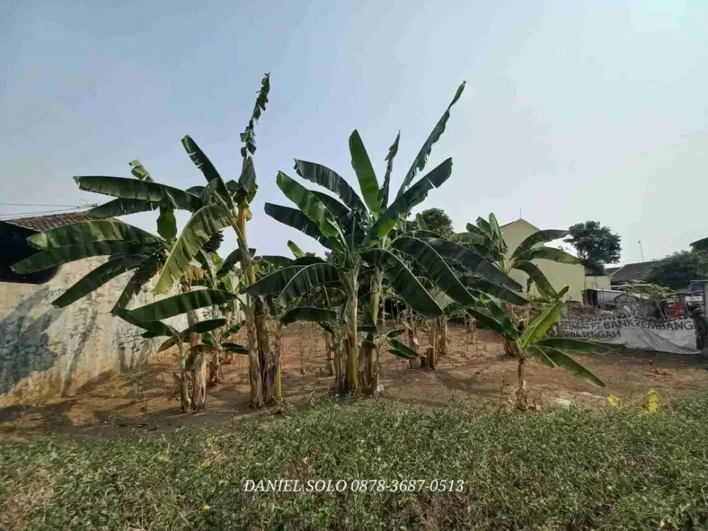 Dijual Tanah Papahan Karanganyar Solo