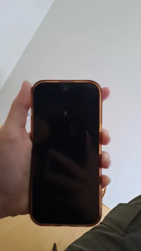 Jual iphone 15 biasa