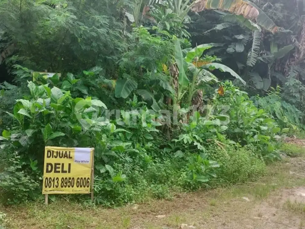 Kavling Murah, Culdesak, Bebas Banjir Dalam Cluster Perumahan Bumi Mutiara Bojong Kulur, Bogor