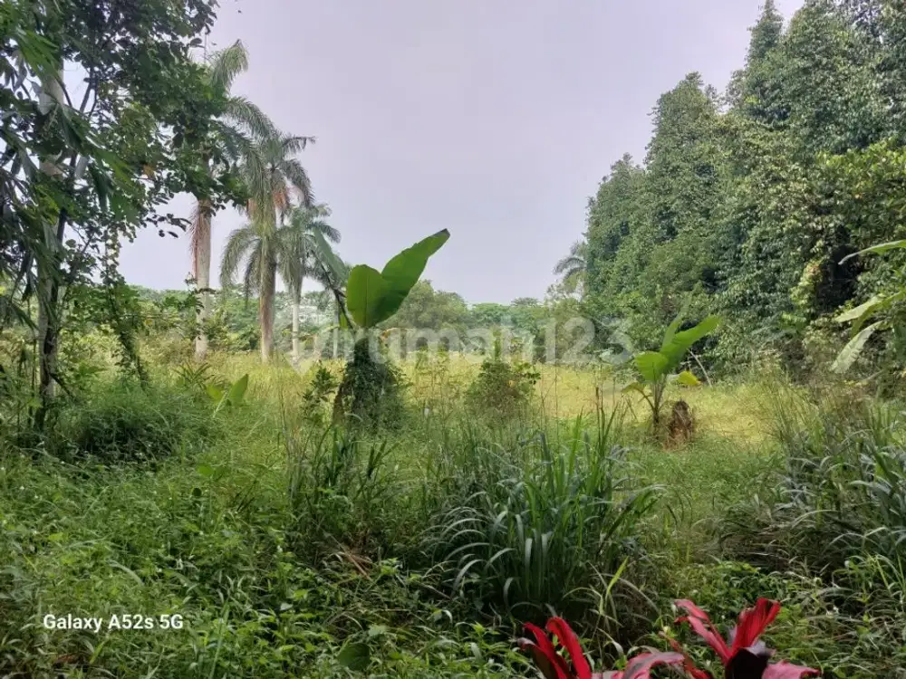 Kavling Siap Bangun Cipenjo Dekat Harvest Cileungsi