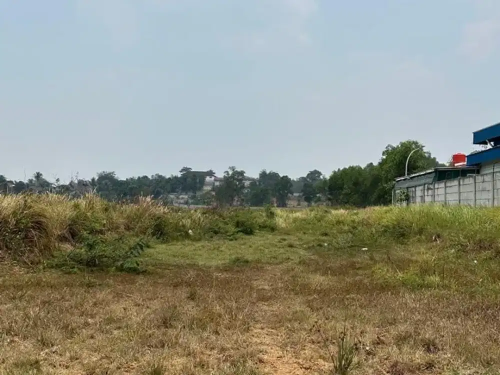 DIJUAL TAHAN 3 HEKTAR DI TIGARAKSA TANGERANG