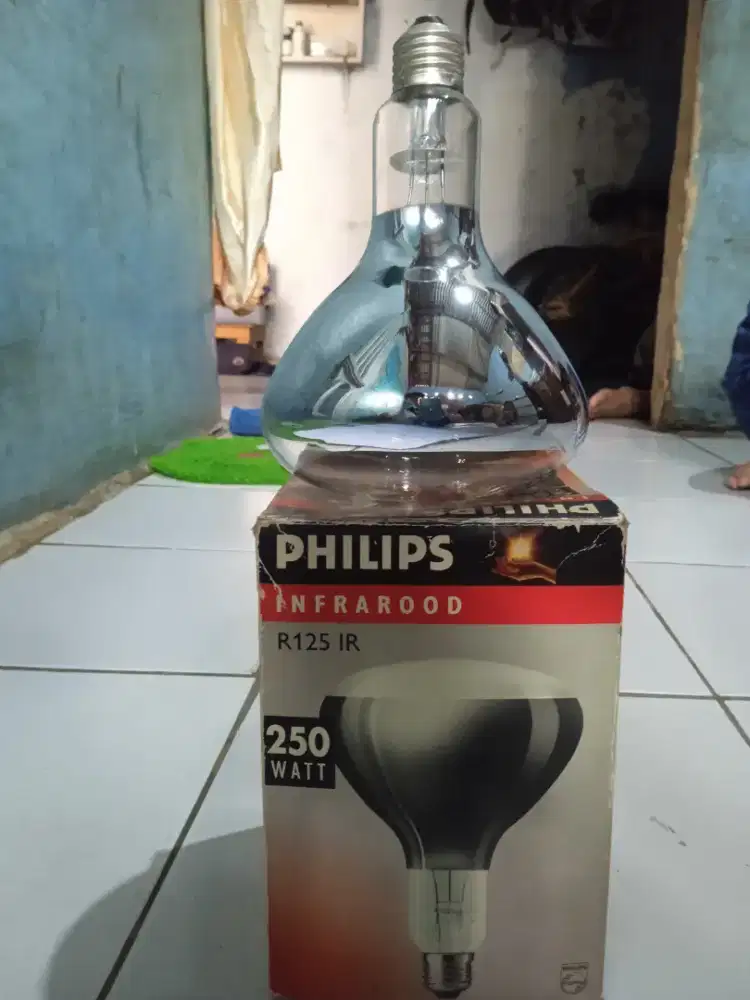 Lampu pemanas cat
