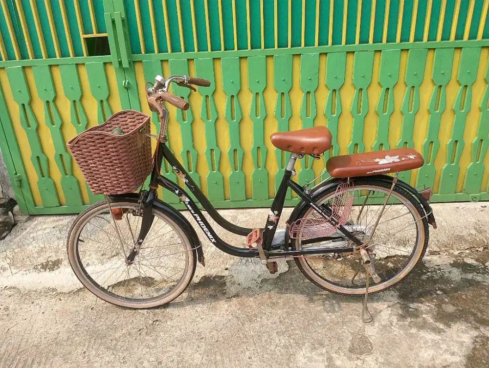 Sepeda wanita sepeda keranjang ban 24inc