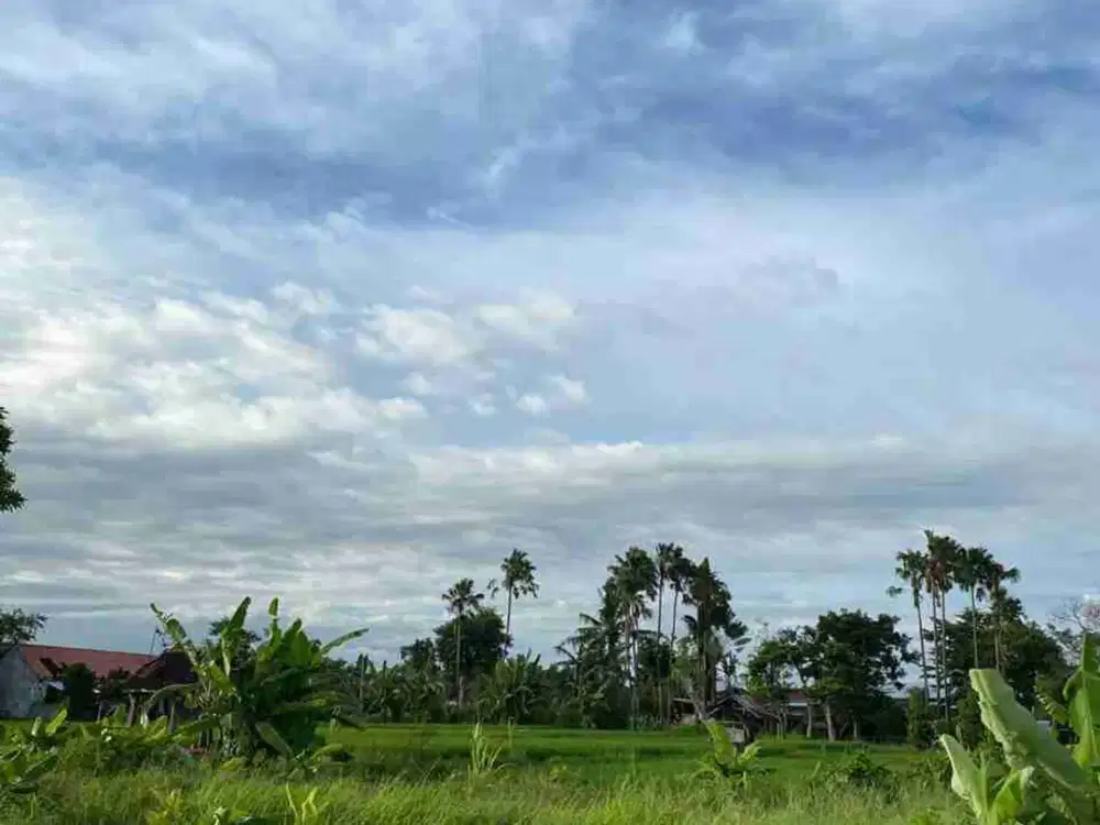 Dijual Tanah 200m² View Sawah Asri di Bantas Bali, Akses Mobil
