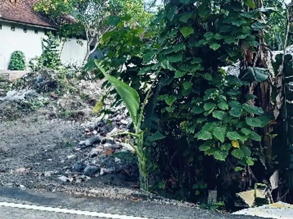 Dijual Tanah Strategis Area LC Denpasar/Badung, Hanya 7 Menit ke Canggu!