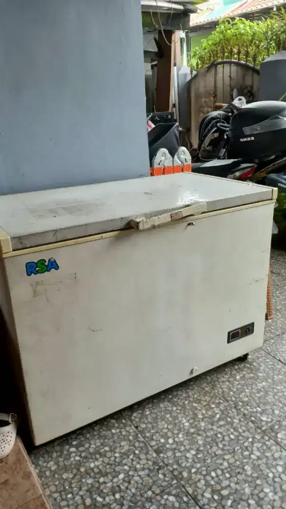 Freezer RSA 300 L