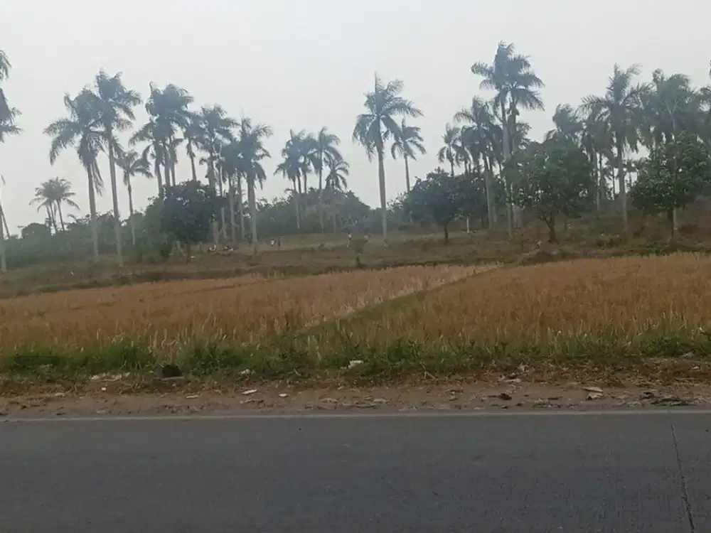 Dijual Tanah di Desa Kutruk Kab Tangerang