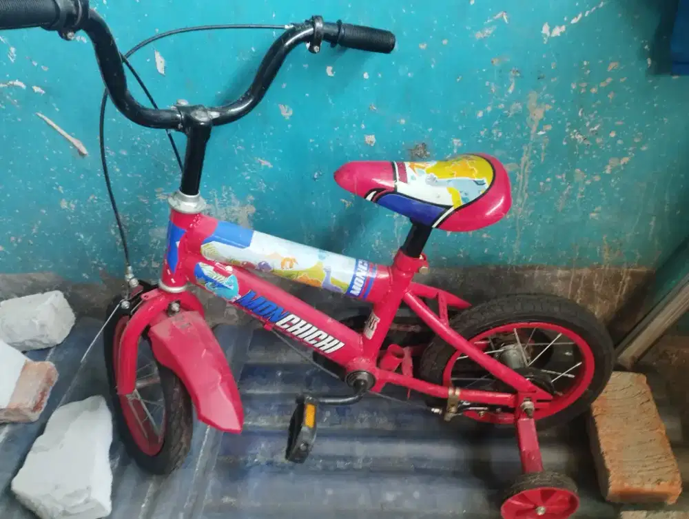 Sepeda anak laki-laki