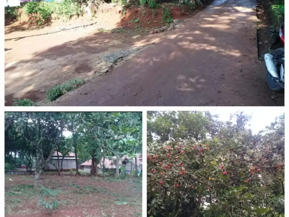 Dijual tanah Jalan Raya MT Haryono