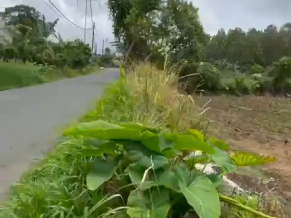 JUAL TANAH DI KAWASAN WISATA BEDUGUL - BATURITI