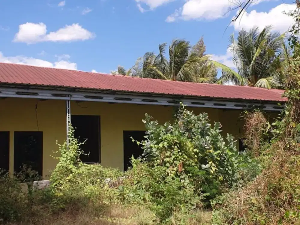 DIJUAL TANAH DAN BANGUNAN DI OEBELO JLN TRANS TIMOR LESTE