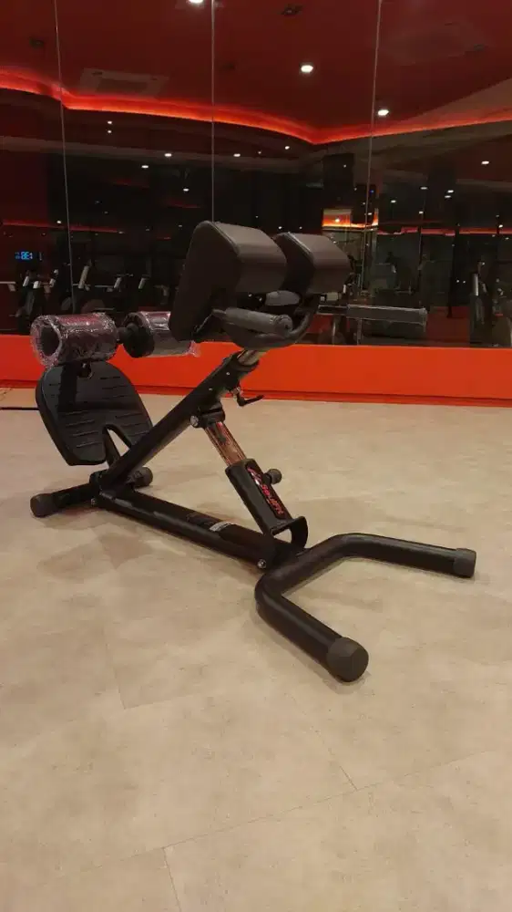 Super bench back extension premium gym import