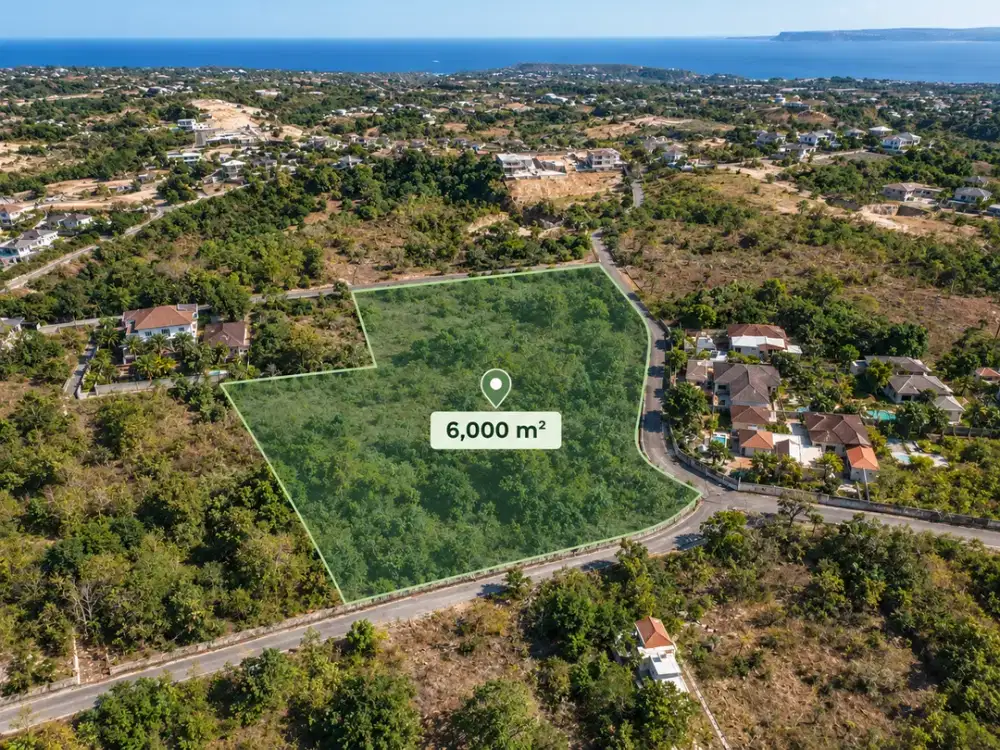 Tanah 6.000 m² SHM Dijual di Ungasan, Bali | Potensi Villa & Hospitality