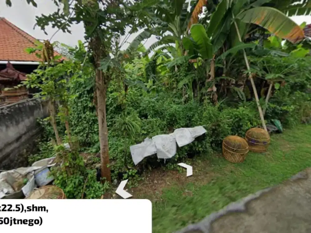 Kavling Bali, Harga Terjangkau untuk Investasi Jangka Panjang 73586 ER