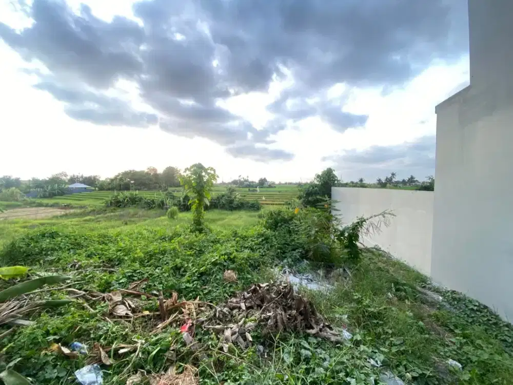 Dijual - Tanah Menarik Dekat dengan Pantai Nyanyi, Tabanan. Cocok untuk Pembangunan Villa atau Rumah