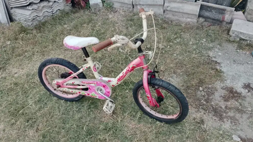 Sepeda anak wik cycle ukuran 16165
