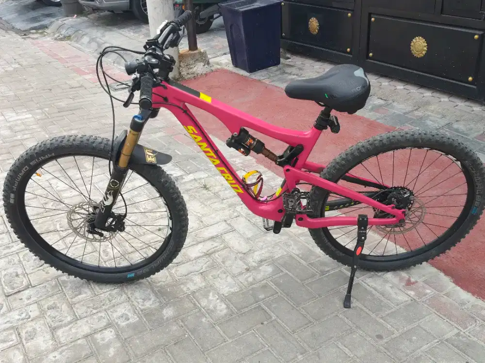 Santa Cruz bronson