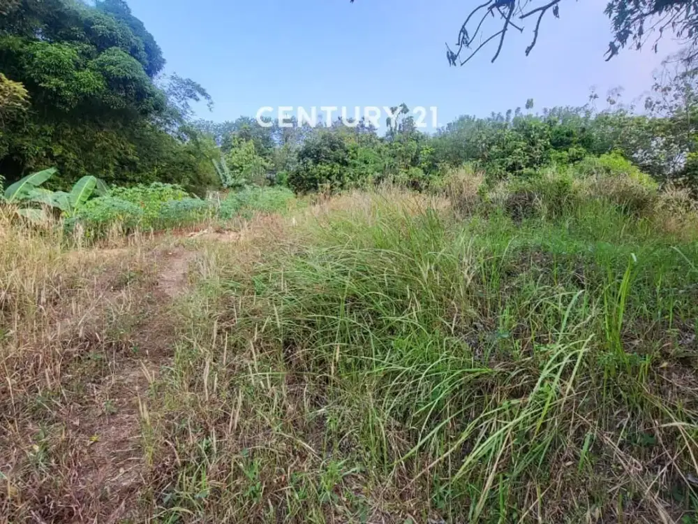 Tanah Kosong Di Argasunya Harjamukti Kota Cirebon