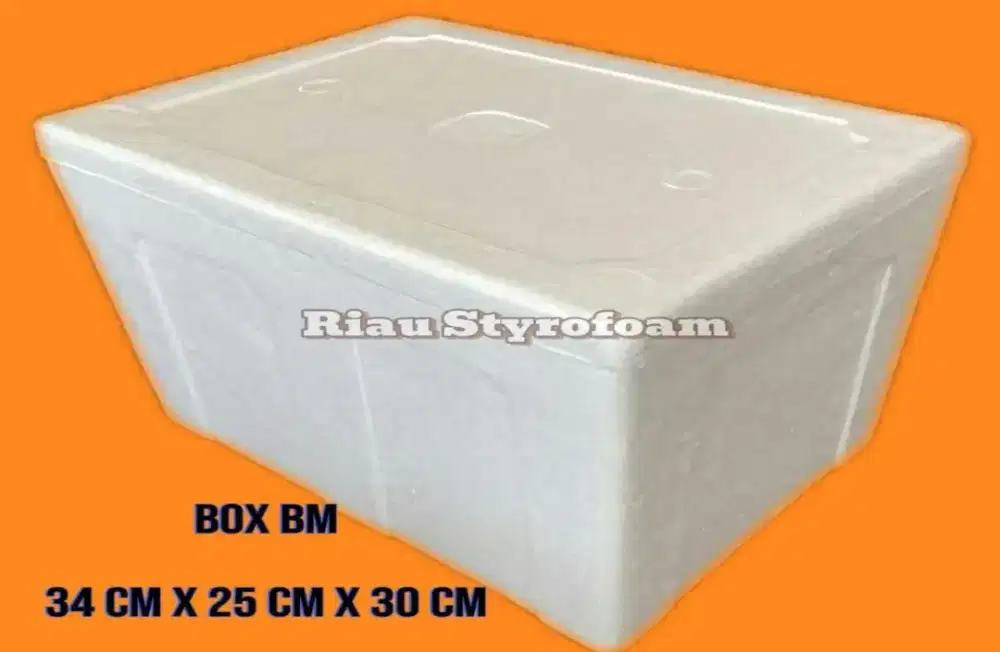 Box Bm Styrofoam
