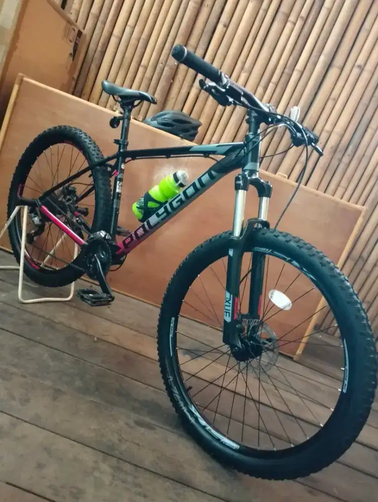 Sepeda Polygon premier 5