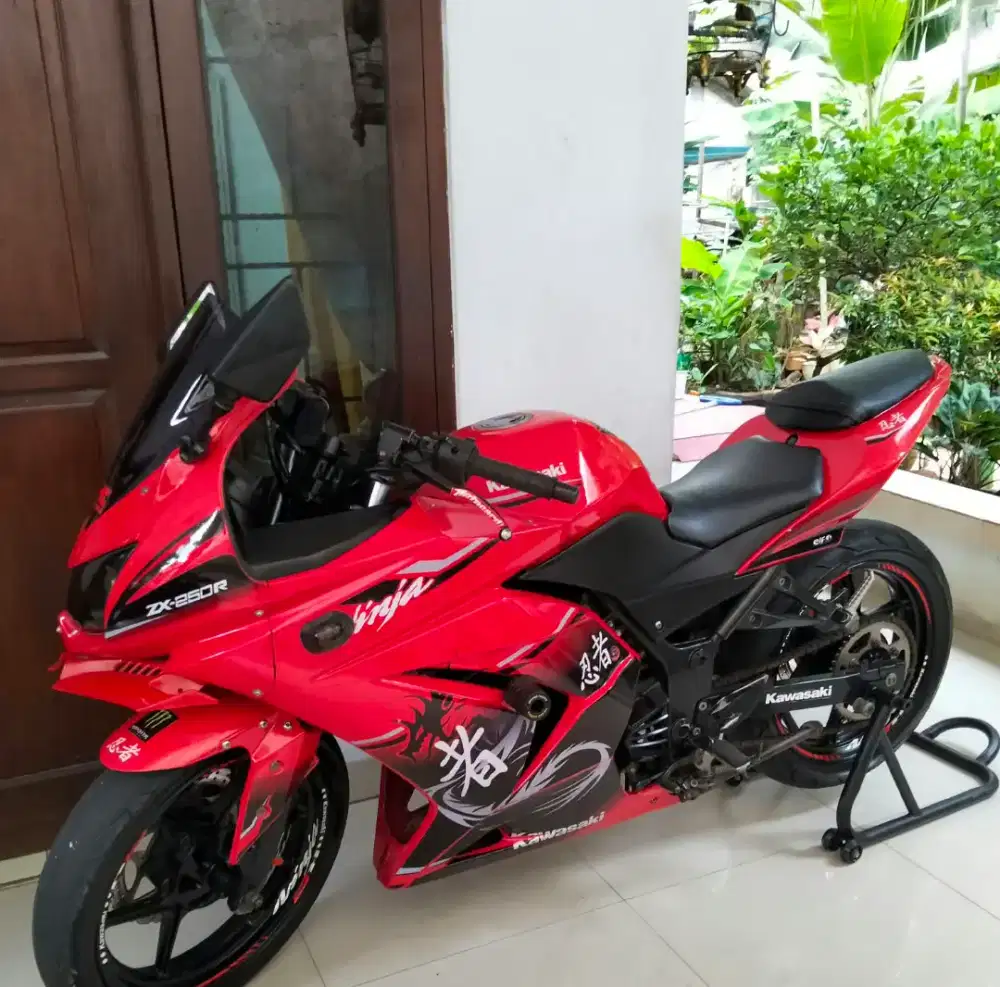 Jual Kawasaki ninja 250R