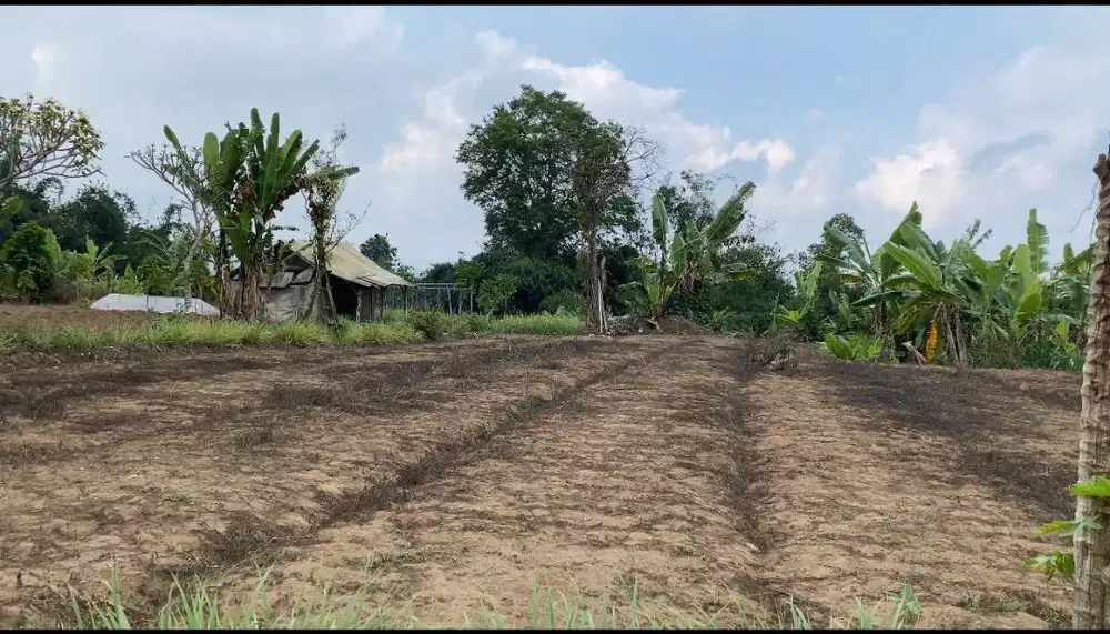 Dijual tanah 35 are di Baturiti Tabanan suasana asri