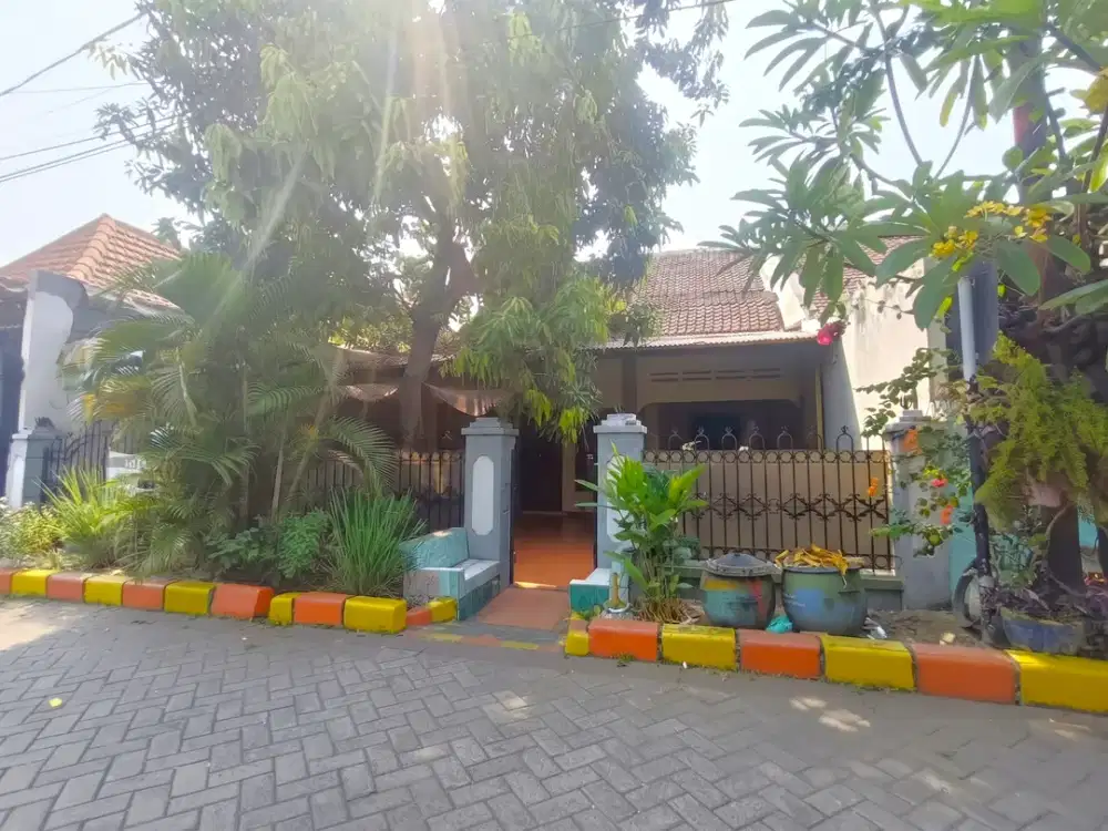 Jual Rumah Luas di Perak Barat Ikan Cumi Dekat Sekolah