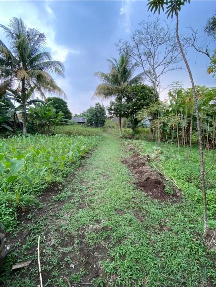 DIJUAL TANAH STRATEGIS, MURAH/SHM/Per METER 1,8 JT(BISA NEGO)