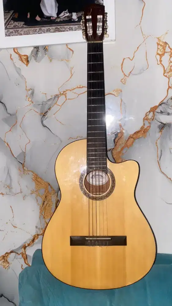 GITAR AVALONE seri AS 212029