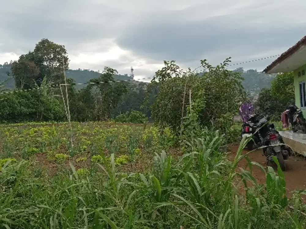 Tanah darat kebun Jayagiri lembang bandung barat