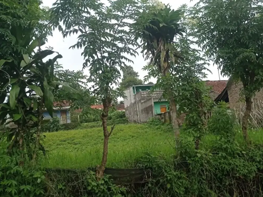Tanah darat lokasi pamulihan ke pintu tol 2,5 km
