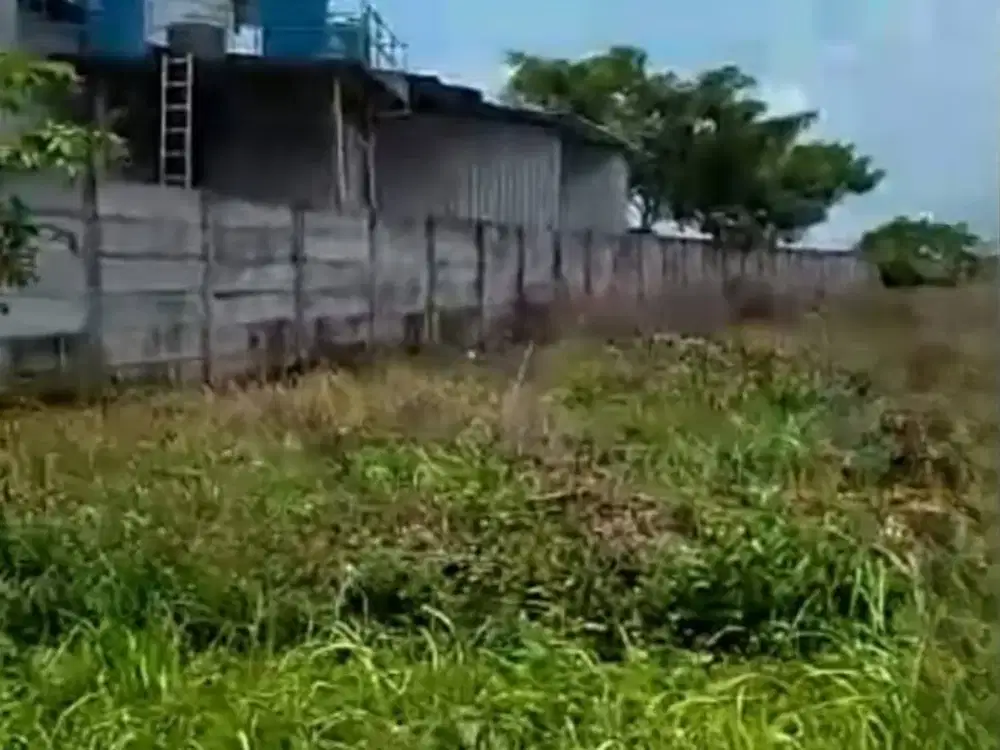 Tanah Tuban Murah ‼Hadap Utara