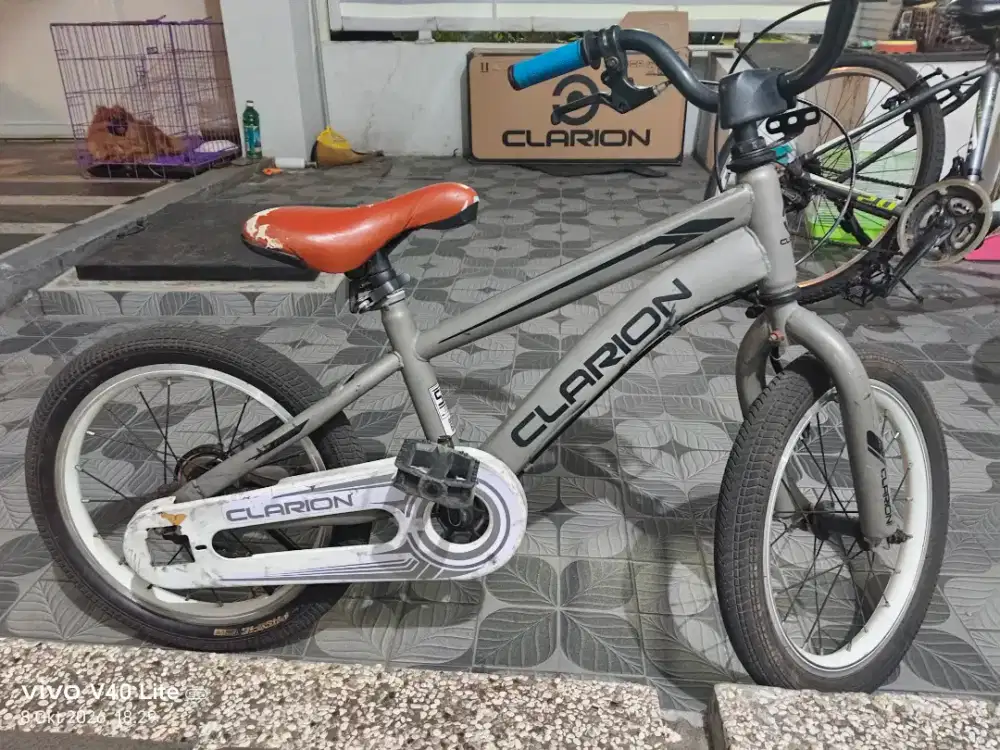 Jual Sepeda anak merk clarion ukuran 16