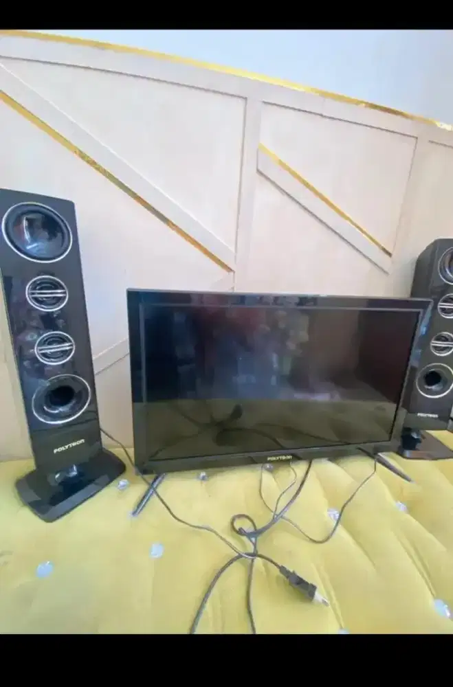 TV polytron 24inc