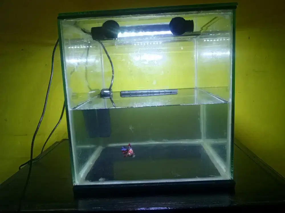 Aquarium 30x30x30 Fullset